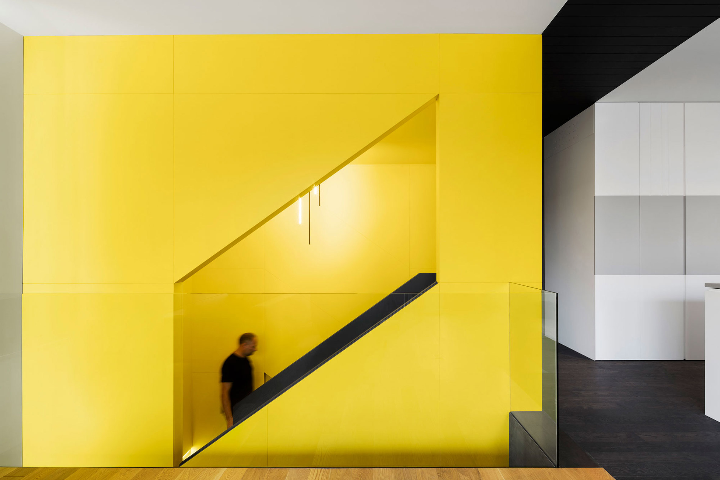 canari-house-residential-architecture-naturehumaine-montreal-quebec-canada_dezeen_2364_col_9